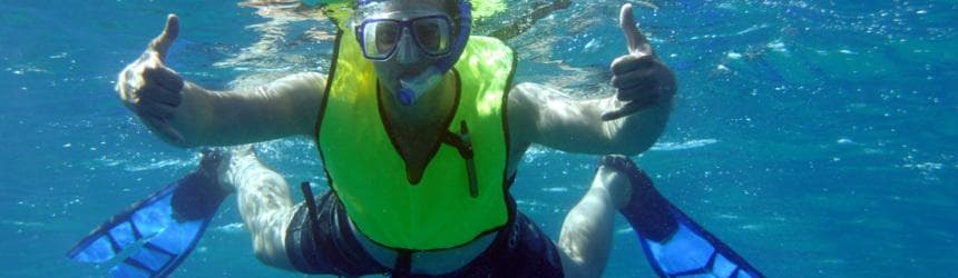 Morning Dolphin Watch & Snorkel Cruise with Lunch and Drinks