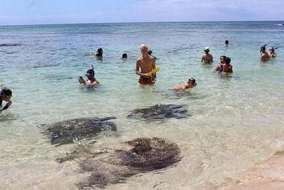 Northshore Circle Island Adventure