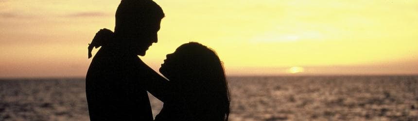 Sunset Dolphin Watch & Snorkel Cruise with Dinner and Cocktails