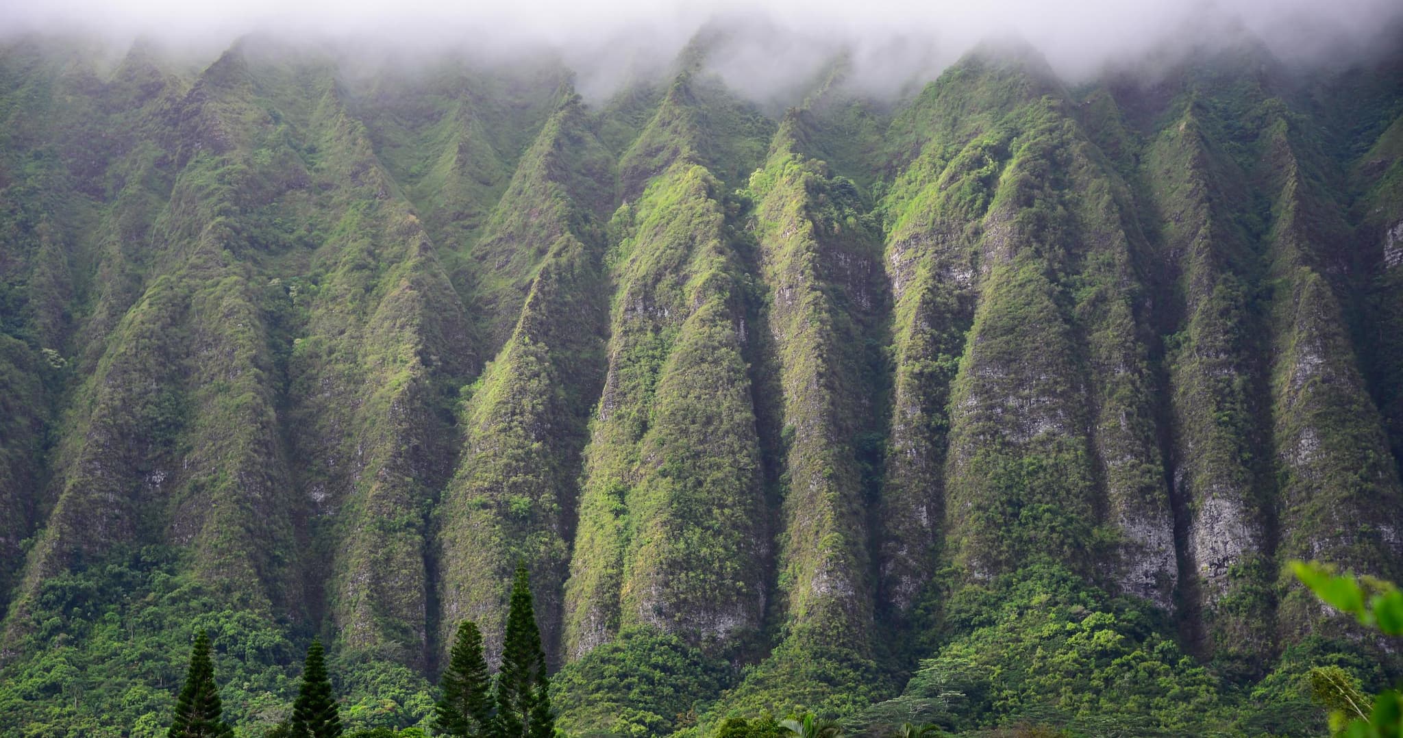 Complete Island Adventure with Sunrise