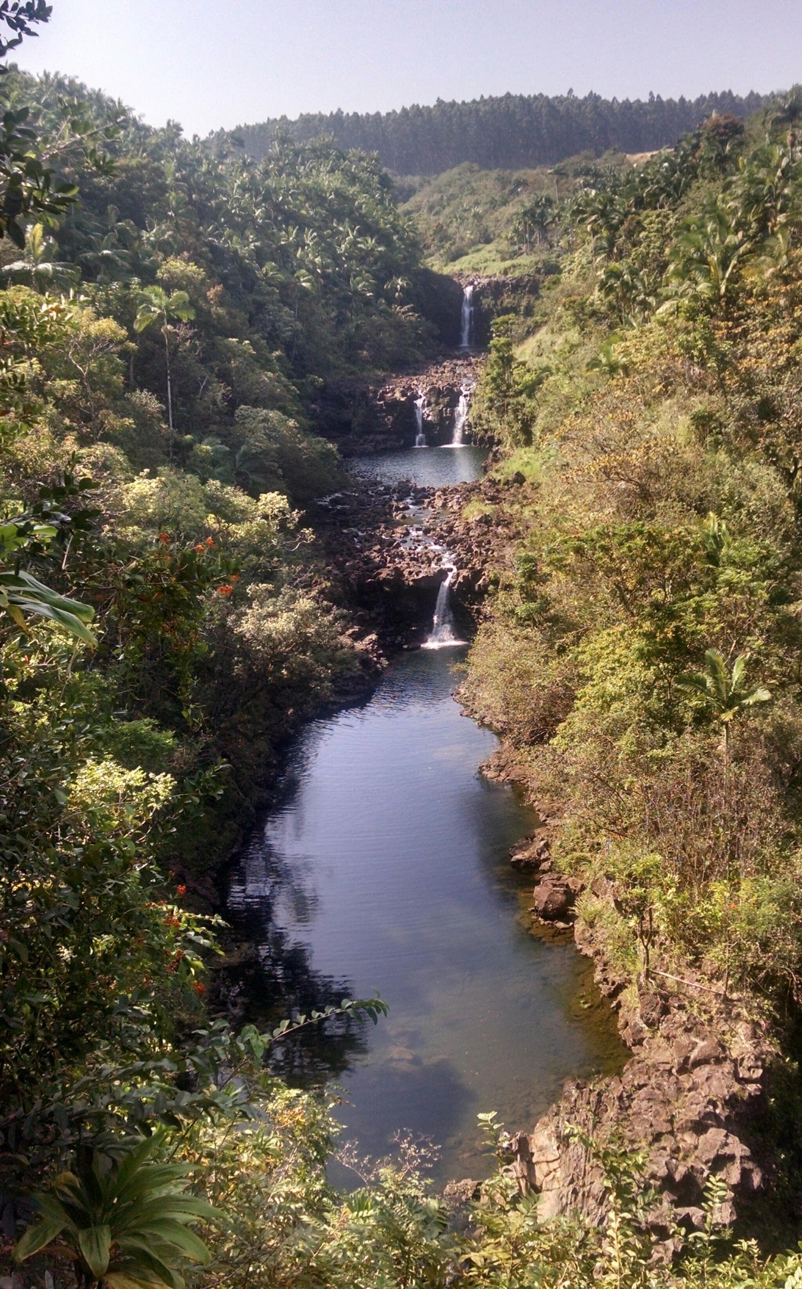 Gardens & Waterfall Tour
