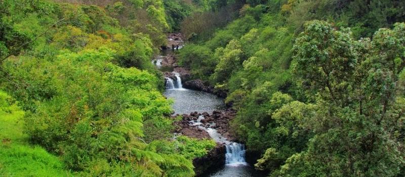 Umauma Falls 9-Line Zipline Tour