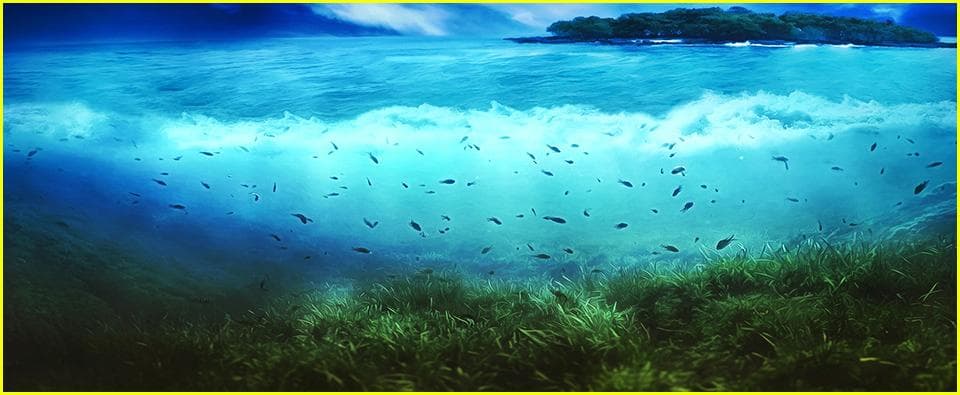 Ohana Fishing Charter