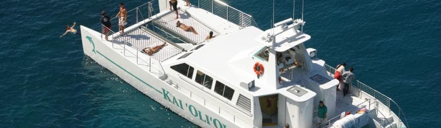 Afternoon Dolphin Watch & Snorkel Cruise with Lunch and Drinks