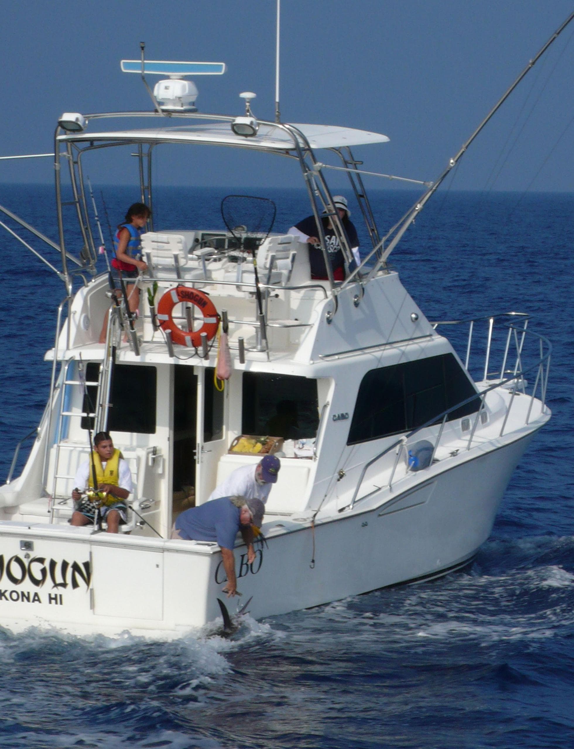 Whale Watch Charters