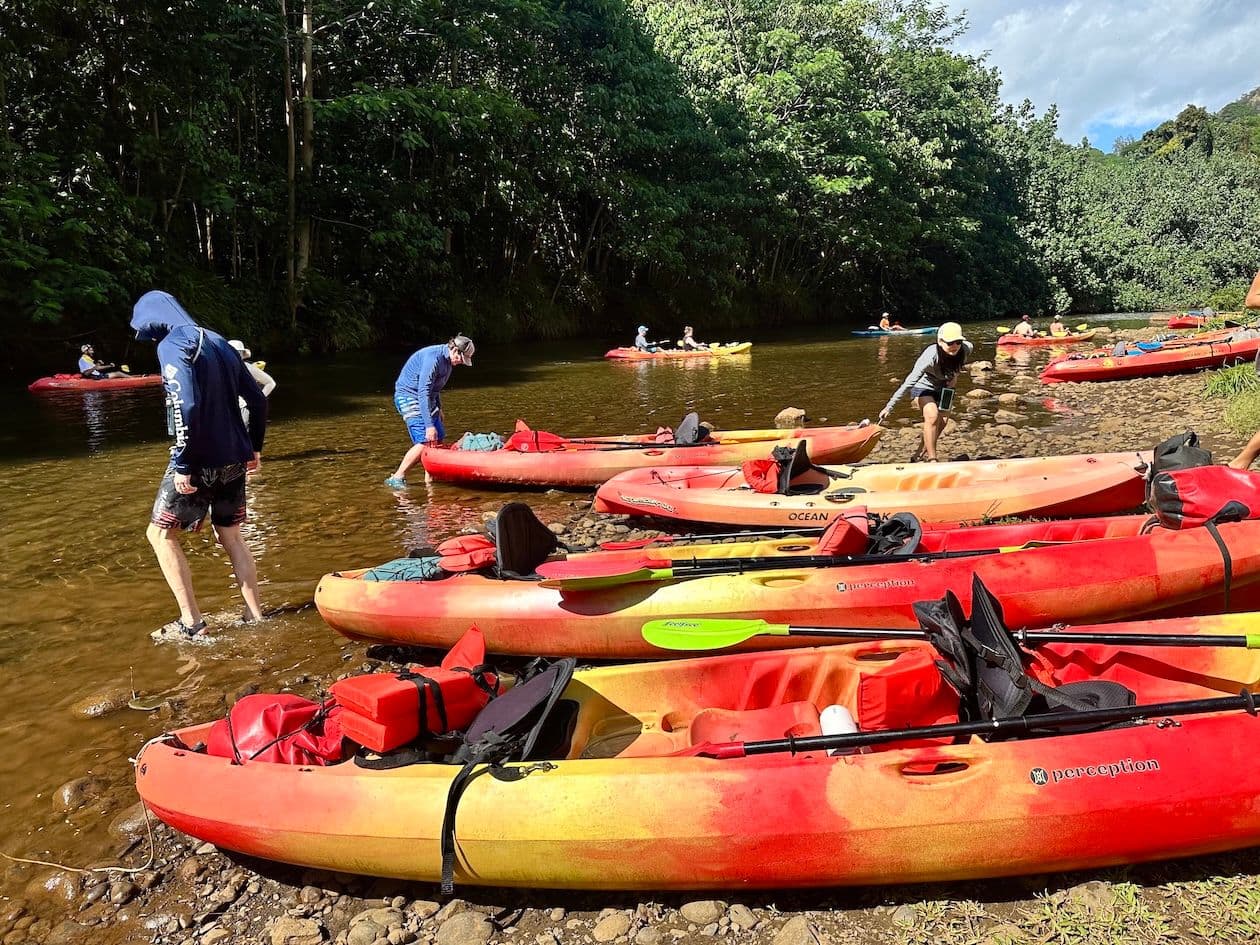 A row of kayaks parked on a riverbank at Wailua River on Kauai, Hawaii.