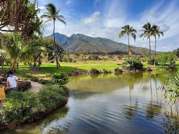 Pond with mountains in background