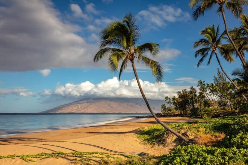 Things To Do in Kihei Maui