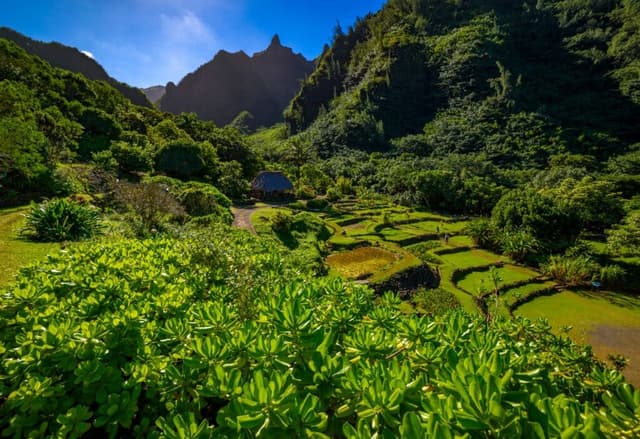 Limahuli Garden & Preserve: Ancient Wisdom Rooted in the Land