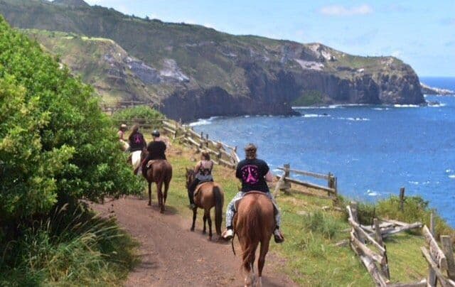 People riding horses