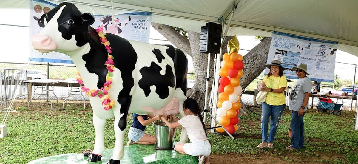 Maui AgFest & Livestock Fair