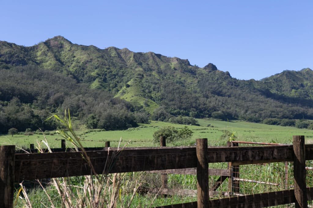 Kipu Ranch Adventures Kauai759979183 hateii hawiia hawaii. hawaiii hawiaii hwaii hawaai hawall hawii hawwai hawwaii hawwii hiwaii haiwaii hawia hawwi