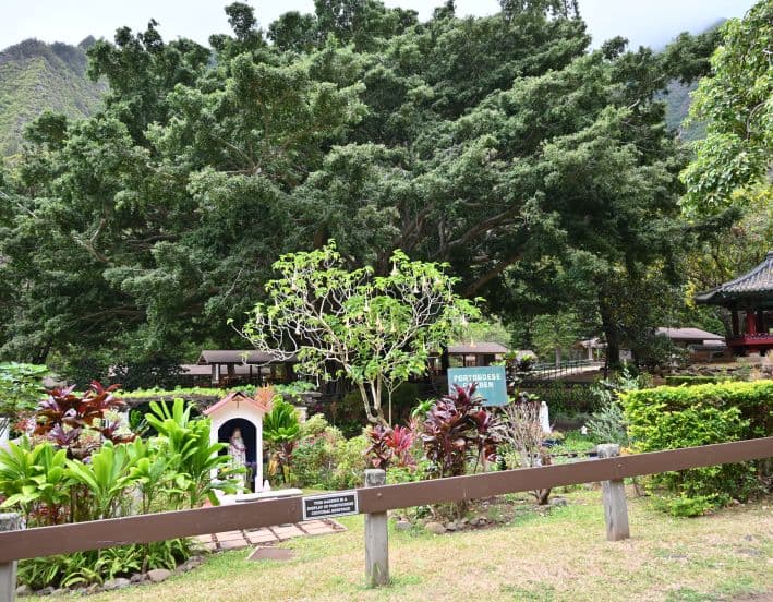 Collection of items outdoors