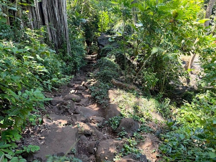 Kapena Falls trail. Photo by Sarah Burchard.