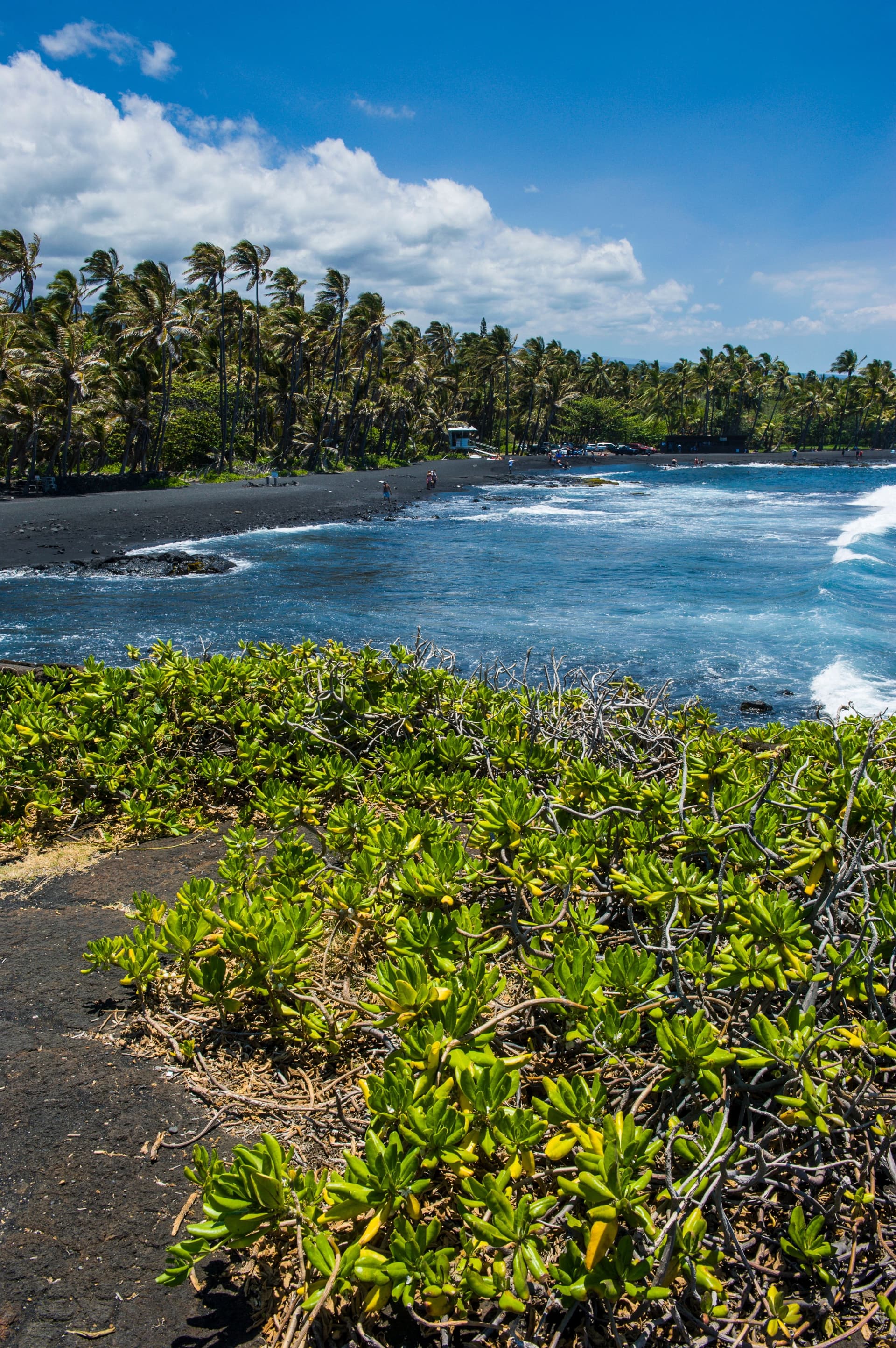 Black sand beach