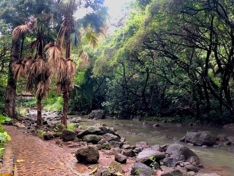 Waimea Valley. Photo by Sarah Burchard.