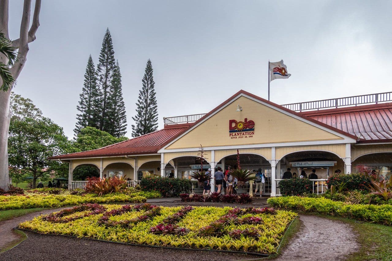 Dole Plantation. Photo by Claudine Van Massenhove (Shutterstock).