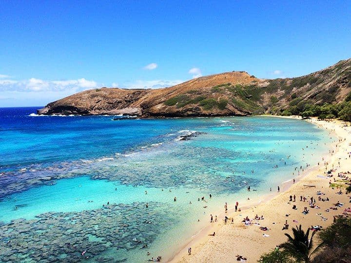 The coral reefs at Hanauma Bay provide food, shelter, and breeding grounds for marine life, making the Oahu landmark one of Hawaii’s top attractions. (Photo: Napua Heen / Hawaii.com)