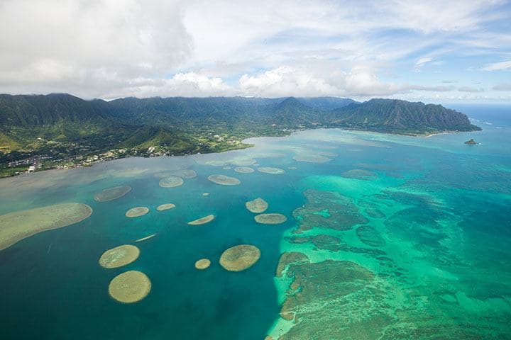 Sand Bar Kaneohe Bay. Photo: Anthony Consillio.