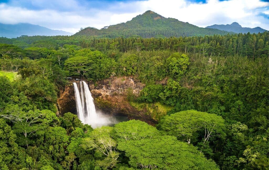 hidden waterfall in Kauai, Hawaiihateii hawiia hawaii. hawaiii hawiaii hwaii hawaai hawall hawii hawwai hawwaii hawwii hiwaii haiwaii hawia hawwi 2372349927