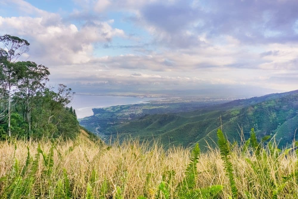 View towards Kahului from the Waiheʻe Ridge Trail on Maui Hawaii.