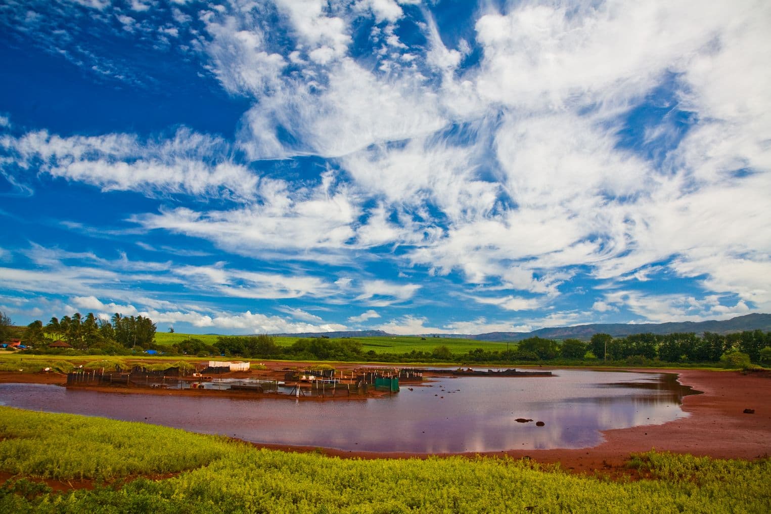 salt ponds in hanapepe kauai