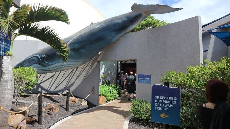 Humpbacks of Hawaiʻi Exhibit and 3D Sphere at Maui Ocean Center. Photo by Yumi Ozaki.