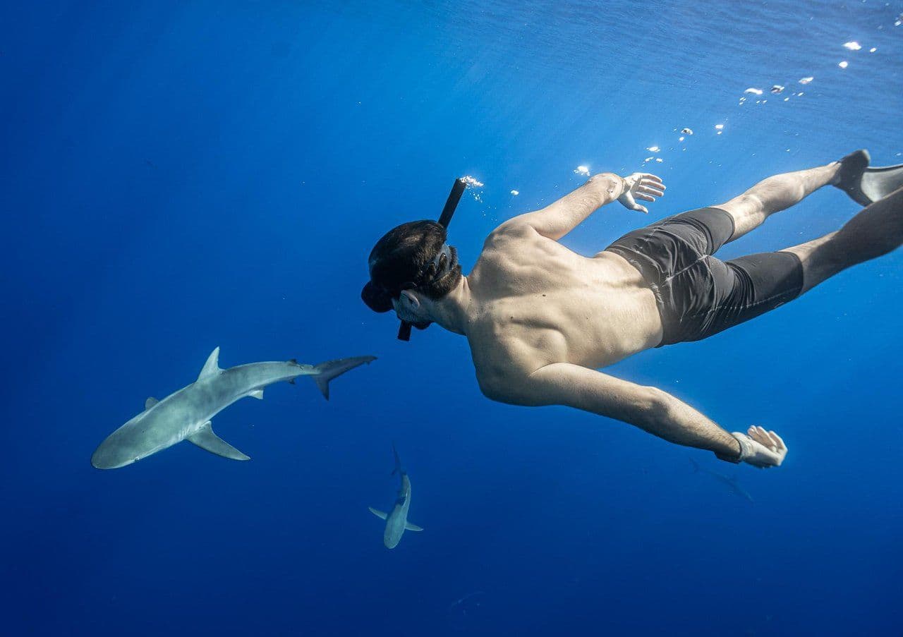 a man under water with sharks