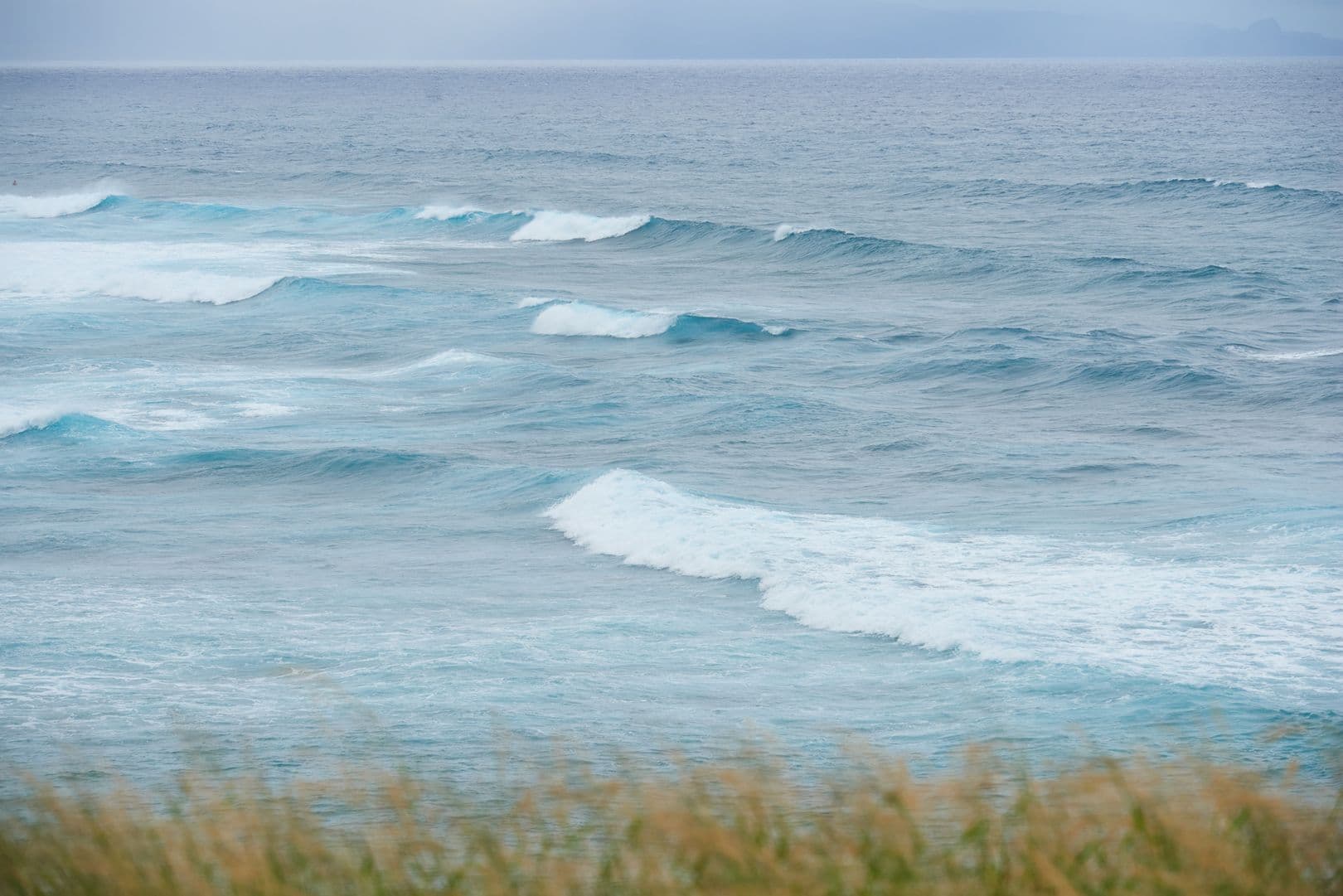 Ocean with grass in the forefront
