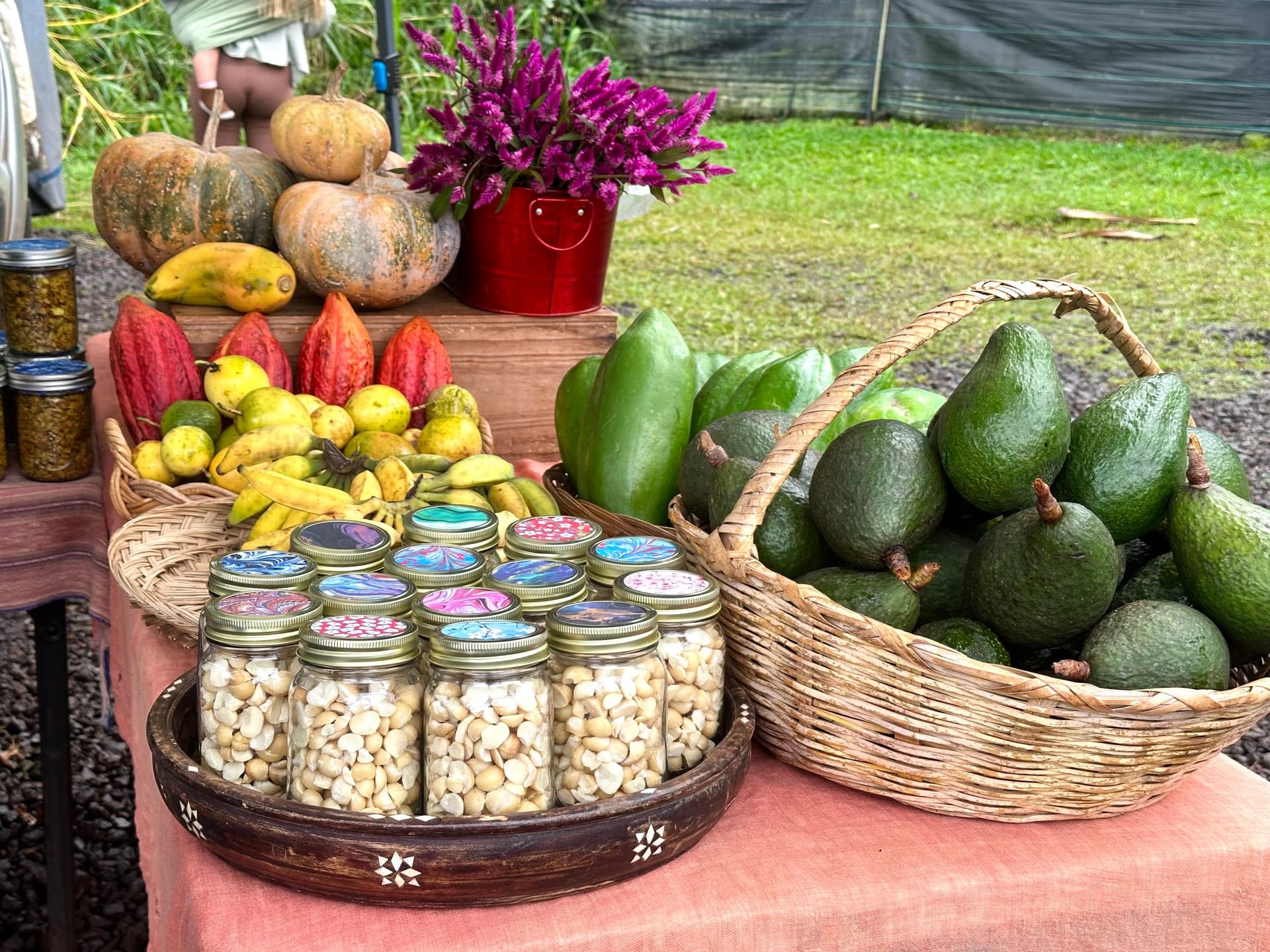 Table at farmers market with macadamia nuts, avocados, cacao and squash.