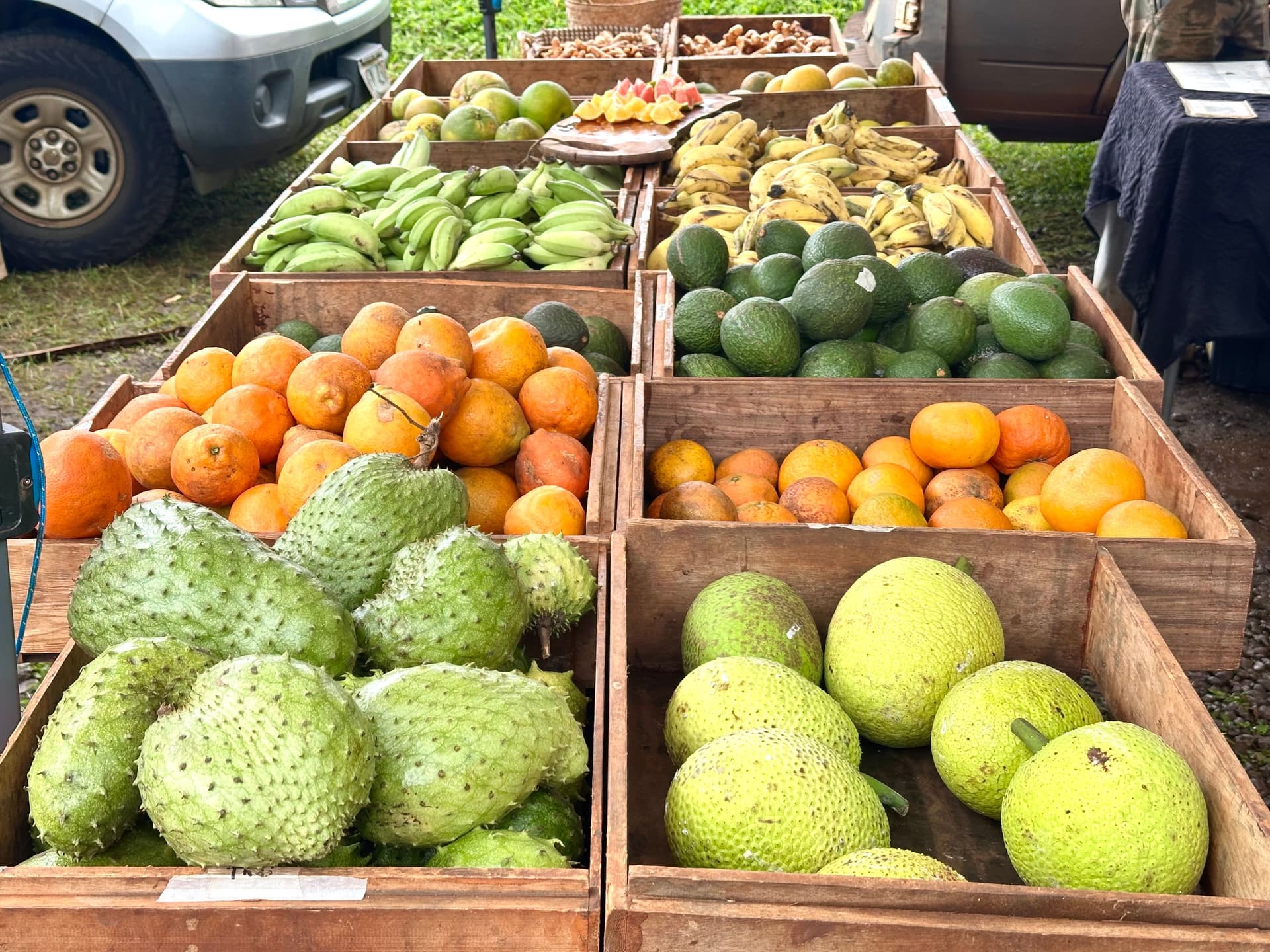 Boxes of fresh tropical fruit at a farmers market.