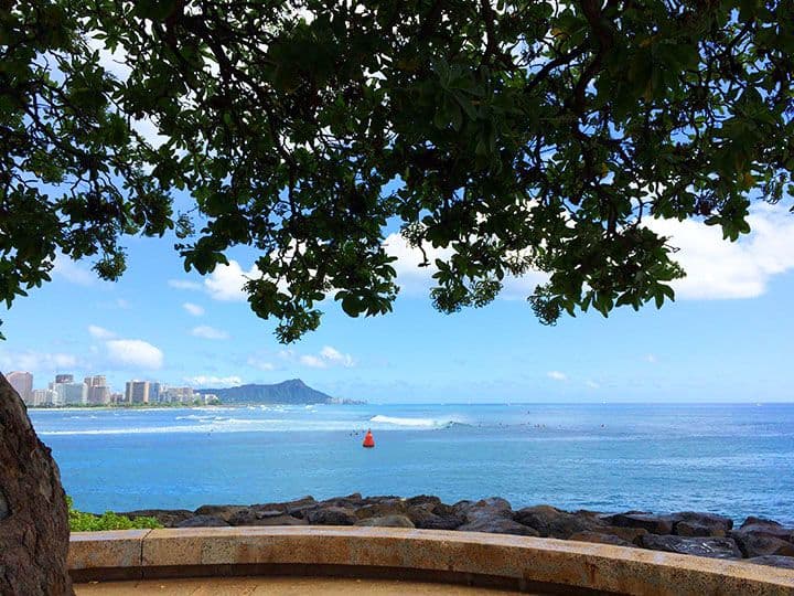 Kakaʻako Waterfront Park looking out over surfers at Kewalo Basin. (Photo: Napua Heen / Hawaii.com)