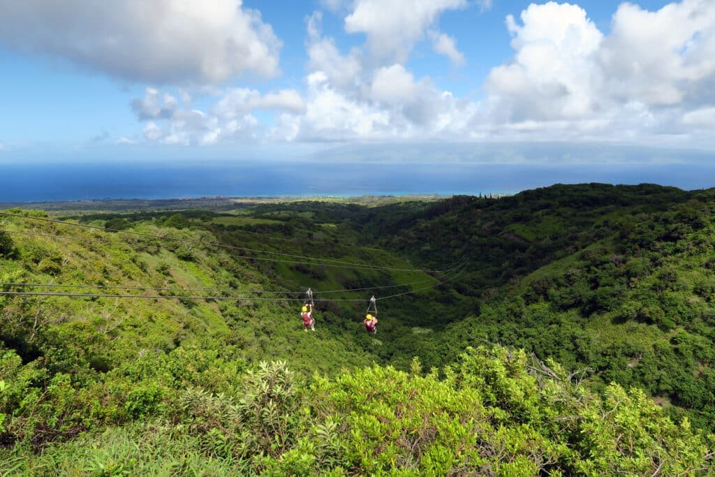 zip lining in hawaii is a bucket list experience 619075319 hateii hawiia hawaii. hawaiii hawiaii hwaii hawaai hawall hawii hawwai hawwaii hawwii hiwaii haiwaii hawia hawwi