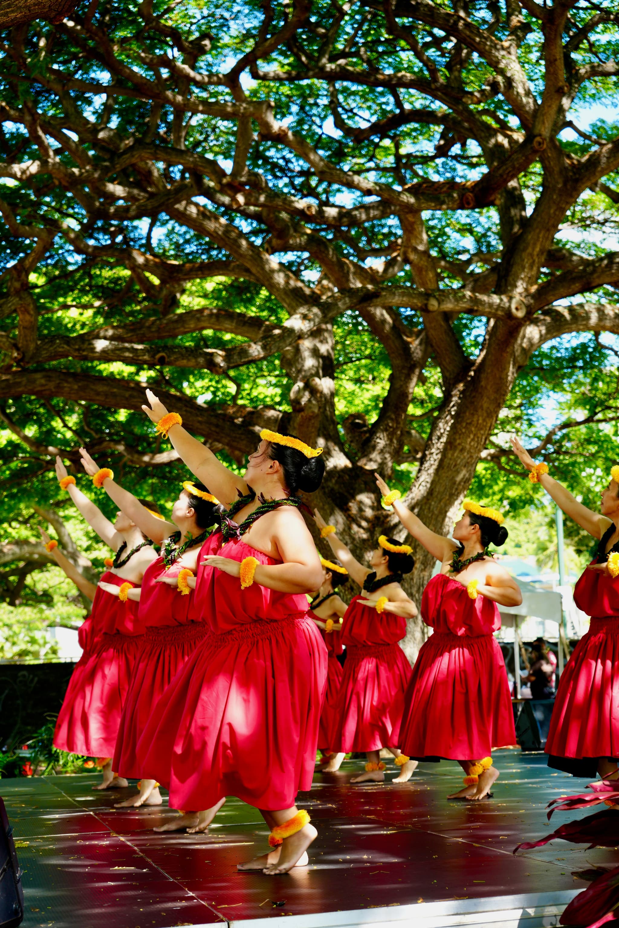 49th Annual Prince Lot Hula Festival