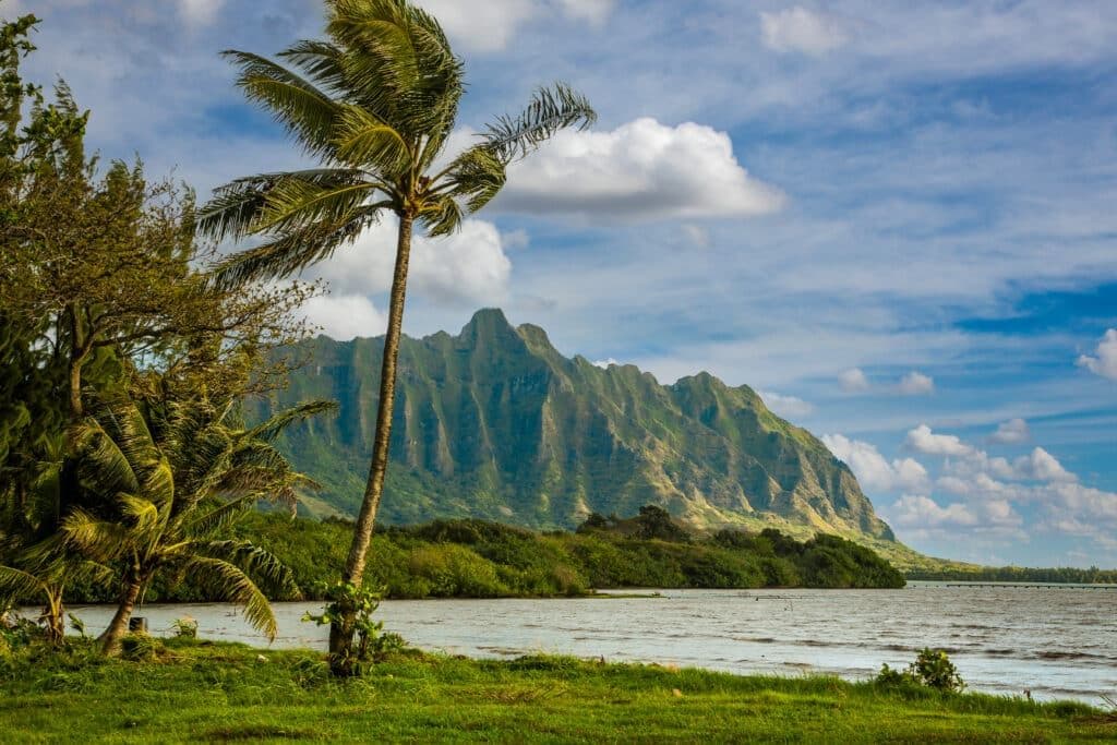 Koʻolau mountan Range and the Pacific ocean on the winward side of Oahu, Hawaii, near Panaluu 2013424133
