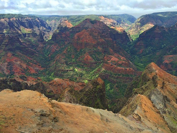 Hiking a Waimea Canyon Trail: Iliau Nature Loop