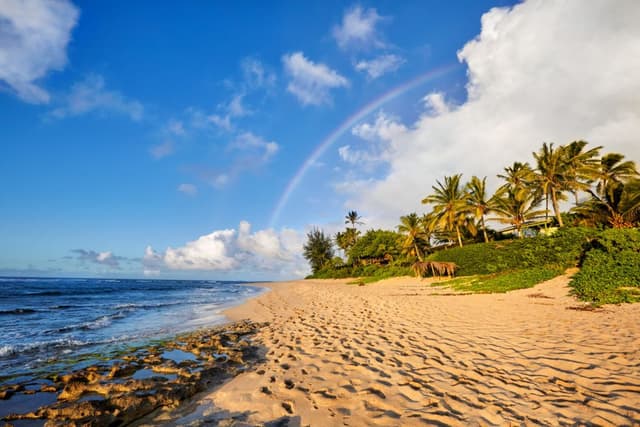 Your Guide to Oahu's North Shore Beaches