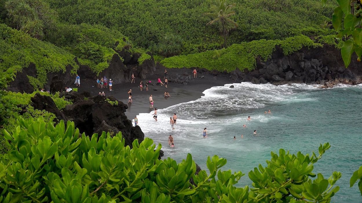 black sand beach surrounded by lush jungle