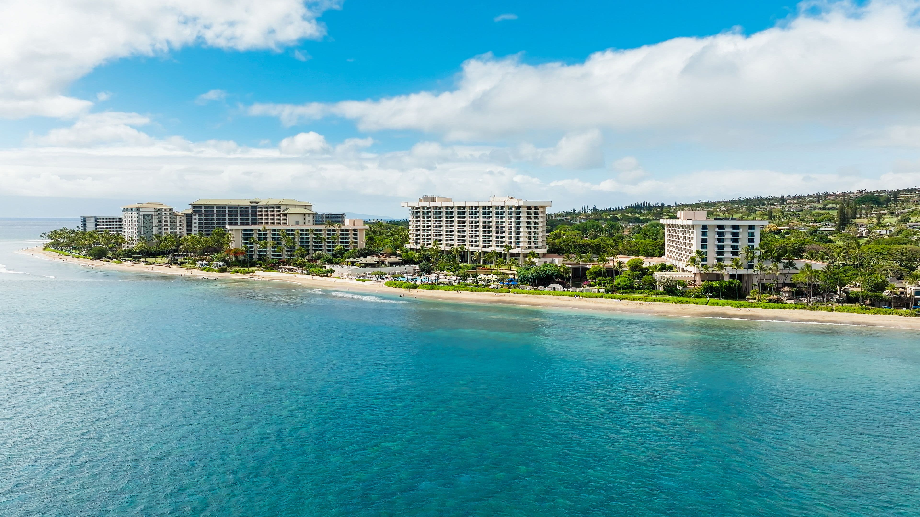 Hyatt Regency Maui Fourth of July Chili Cook-Off