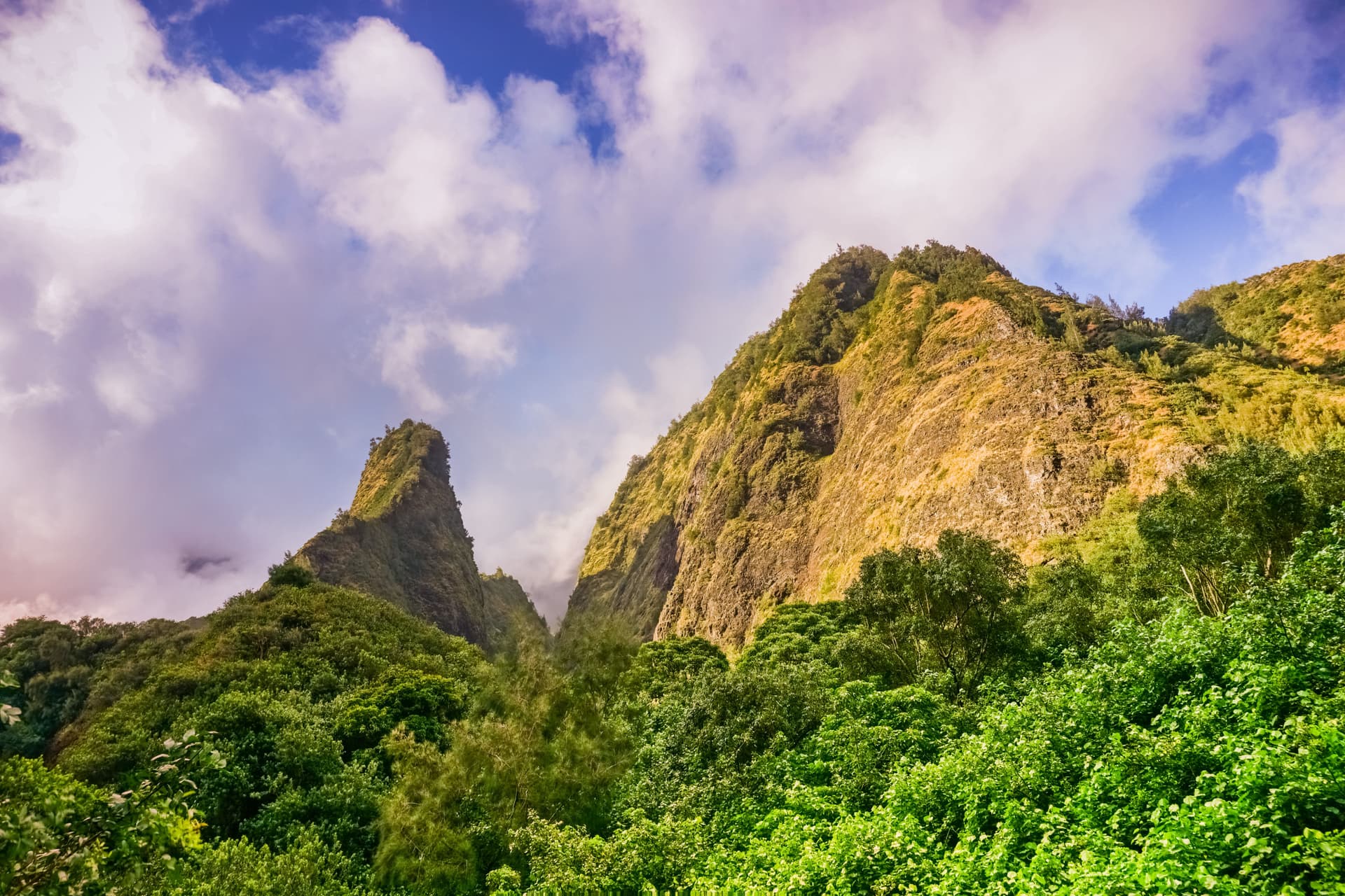 A lush valley on Maui