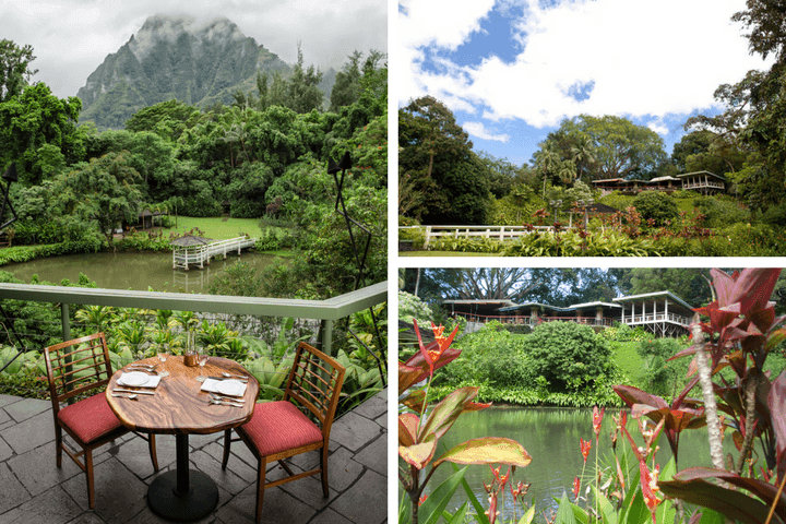 Photo: Haleiwa Joe’s in Haiku Gardens.