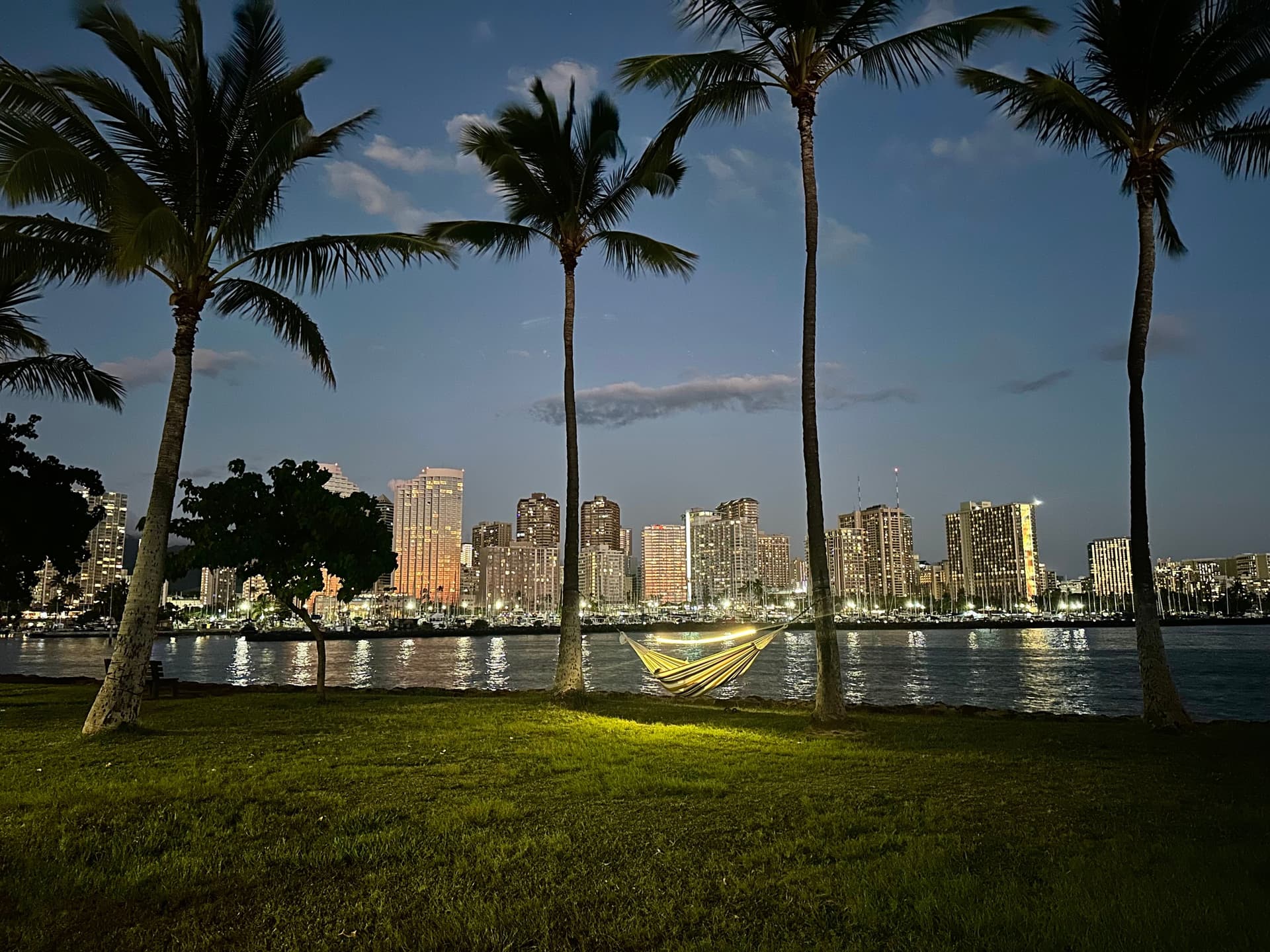 a hammock at a park after dark with the city scape behind him.