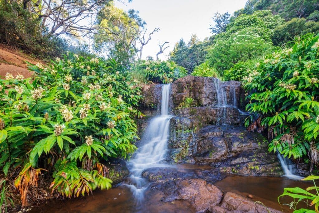 Waterfall, waimea canyon state parkhateii hawiia hawaii. hawaiii hawiaii hwaii hawaai hawall hawii hawwai hawwaii hawwii hiwaii haiwaii hawia hawwi 2428298295