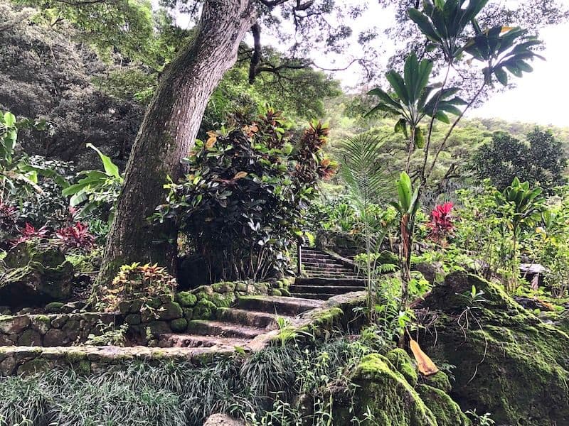 Waimea Valley, oahu hawaii.