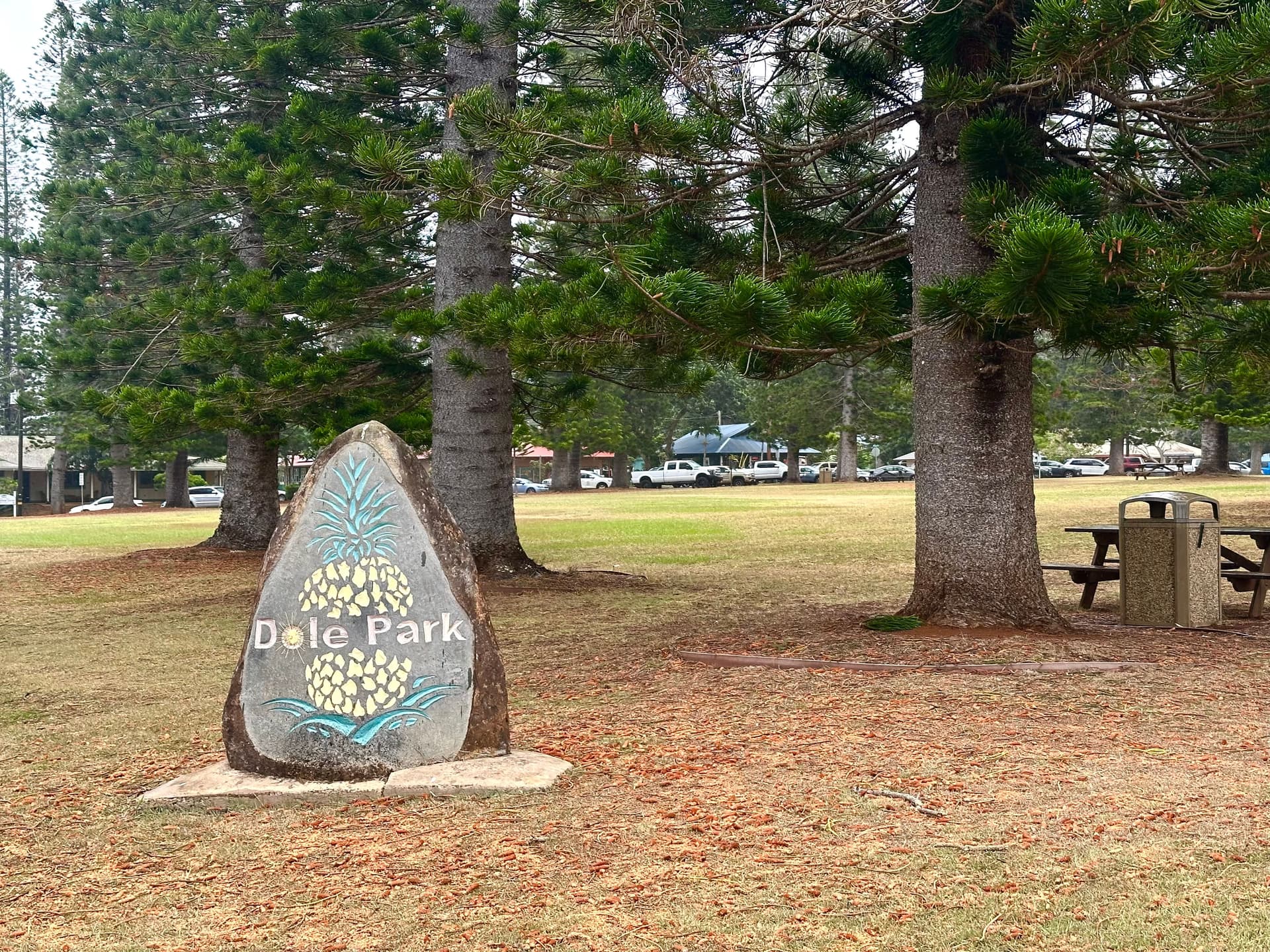 10 a.m. - Lānaʻi City