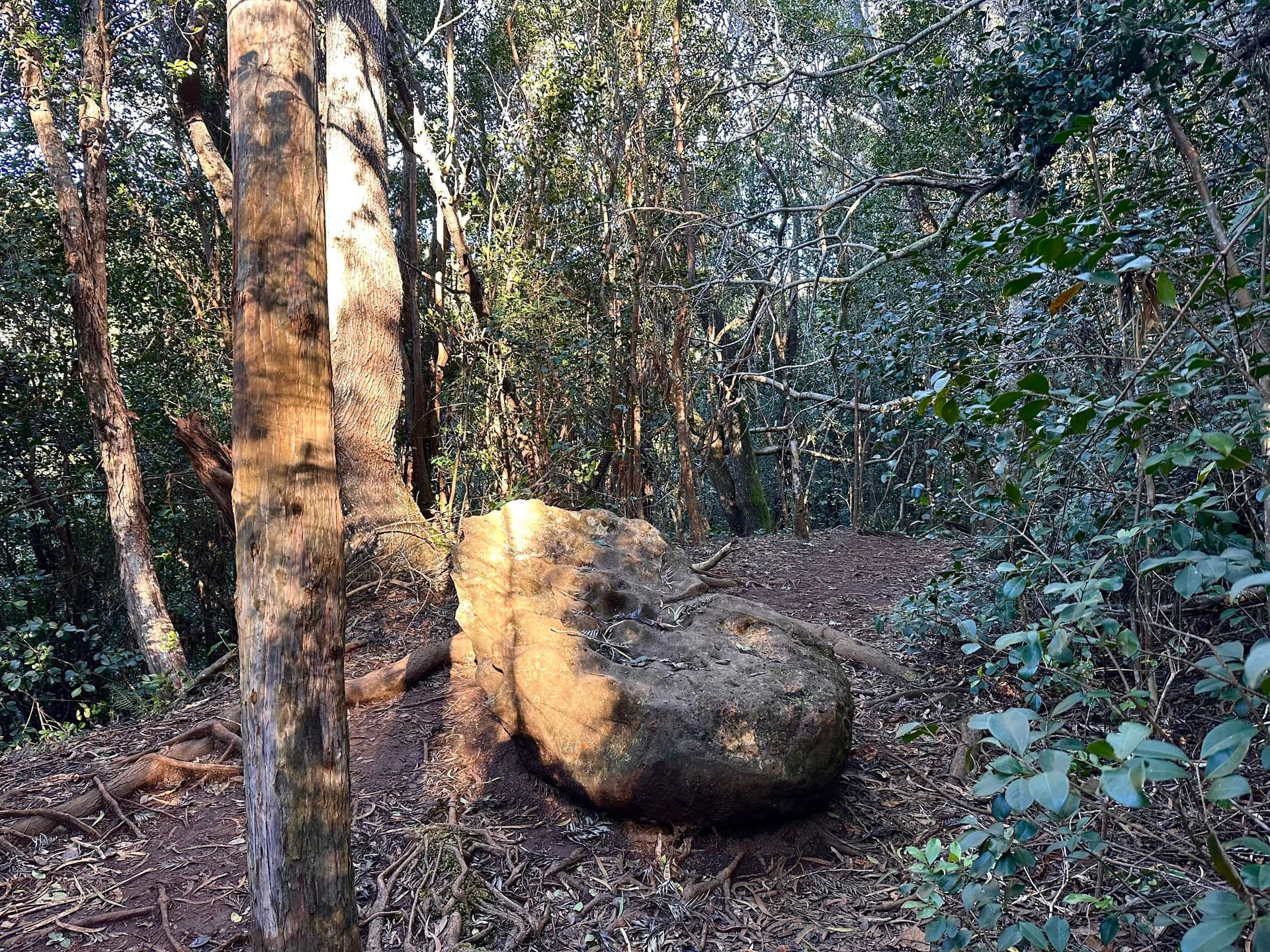 A big boulder on a hike in waimea canyon on kauai, hawaii.