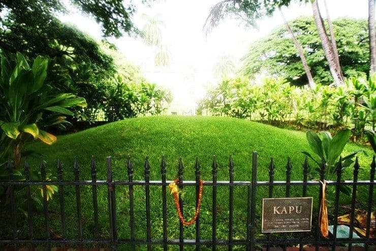 fenced in grass mound