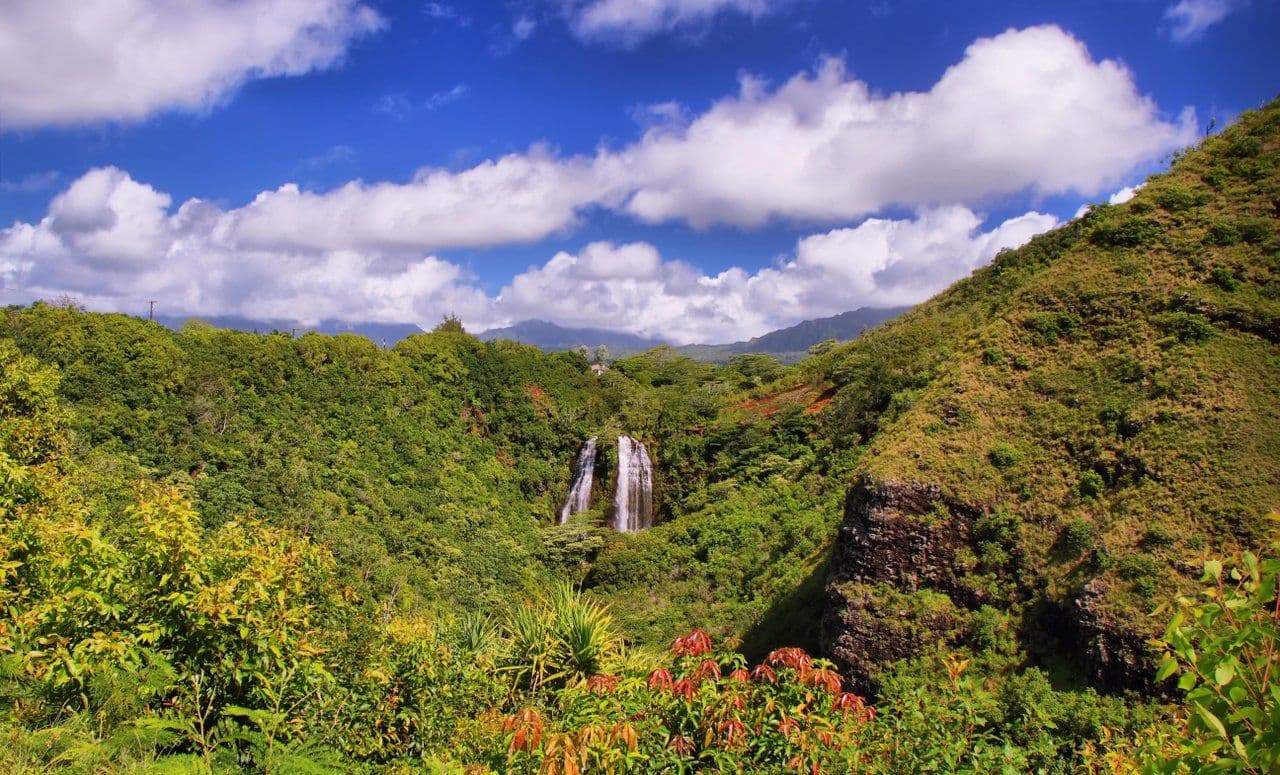 Waterfalls in the distance in a lush Kauai landscape.