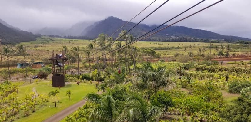Soar Through Paradise: The Best Ziplining in Hawaii