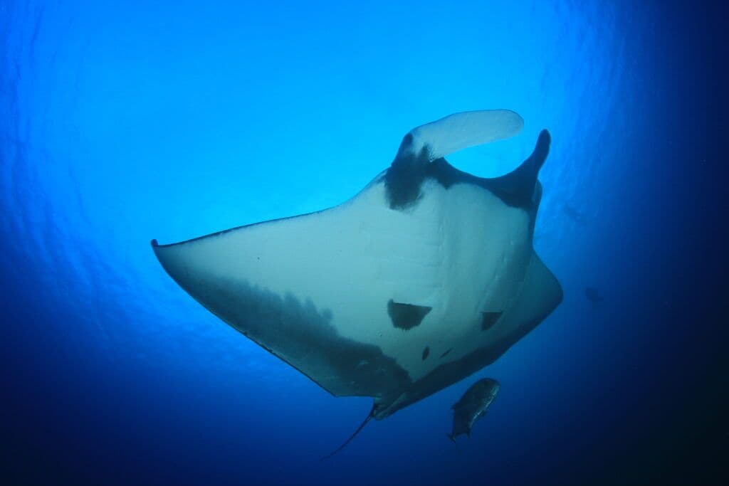 Courtesy of Shutterstock. Photo by Rich Carey.